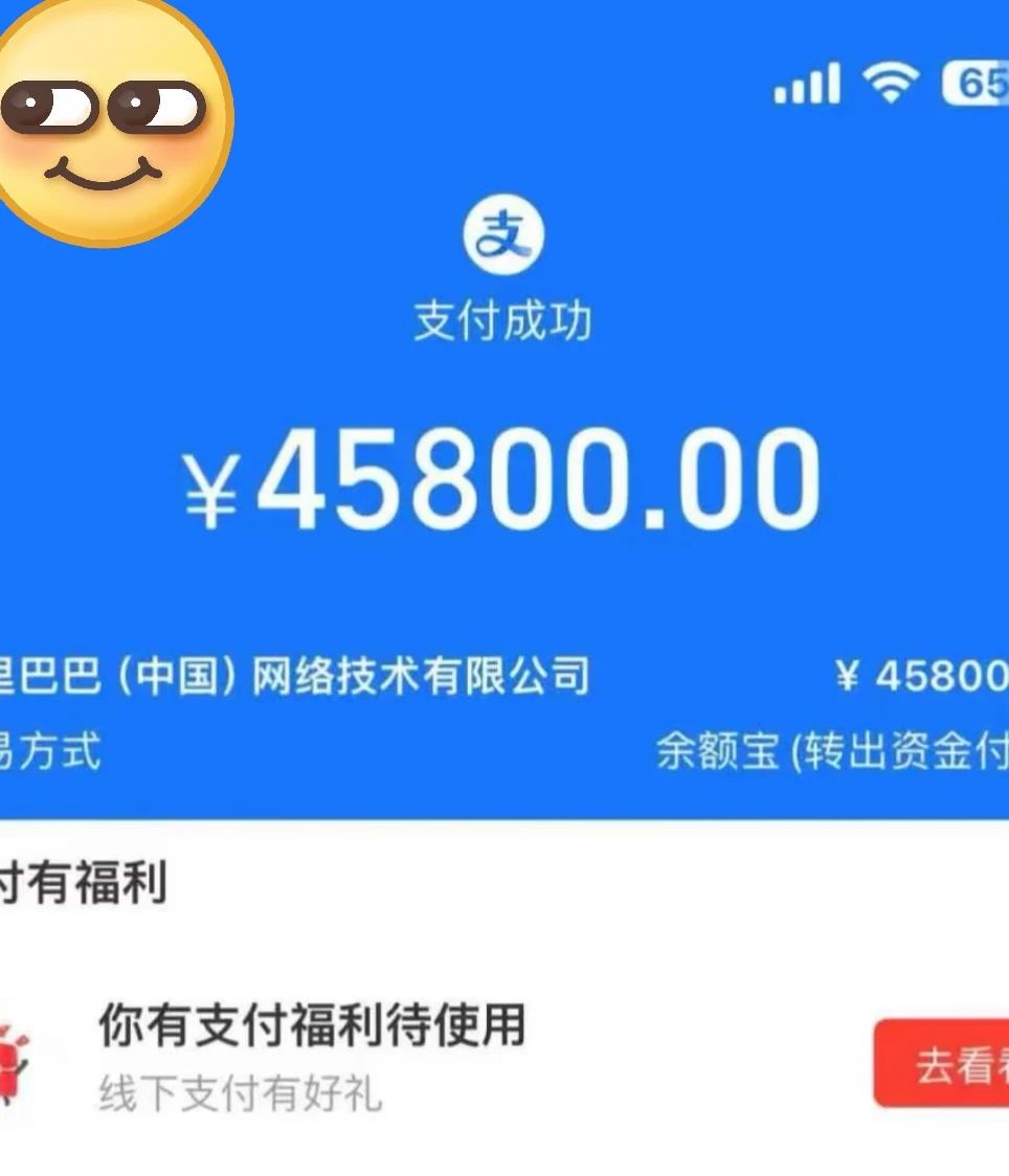 支付宝 45800 付款截图——入局阿里国际站的费用