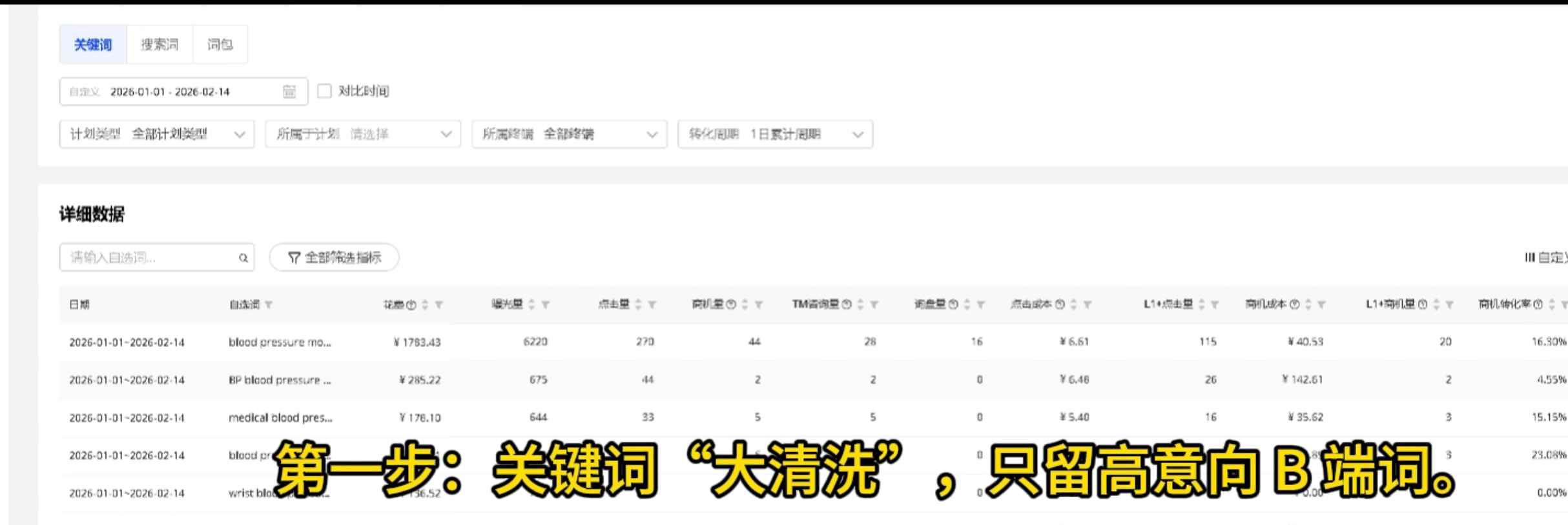 关键词报告：大词 vs B 端长尾词